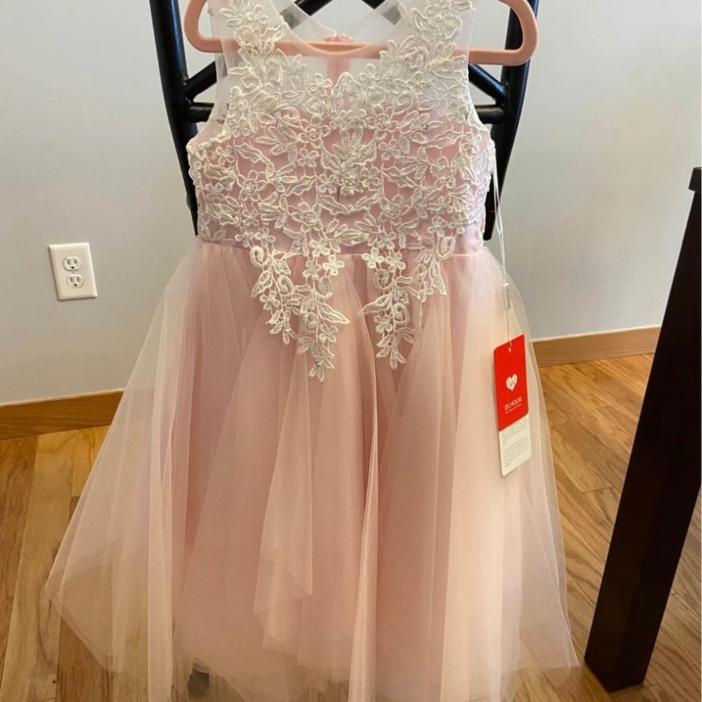 Tulle & Lace Blushing Pink Dress